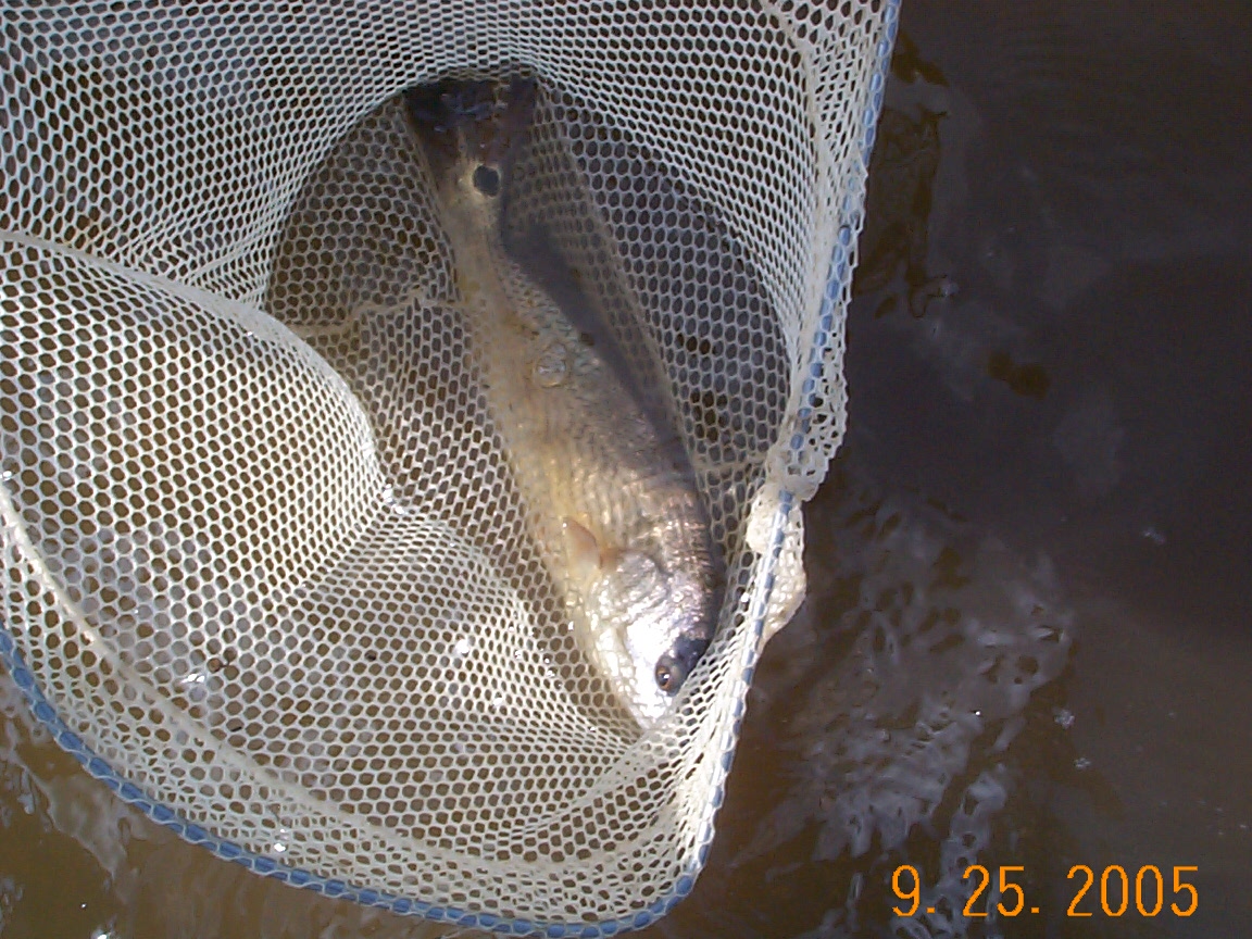 ./2005/Cedar Point/DCP05293.JPG